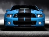 2013 Ford Shelby GT500