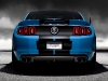 2013 Ford Shelby GT500