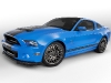 2013 Ford Shelby GT500