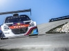 Peugeot 208 T16 Mount Ventoux