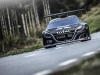 Peugeot 208 T16 Pikes Peak