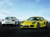 Porsche Cayman y Cayman S 2013