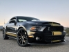shelby-mustang-50-1