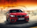 BMW Serie 2 2014