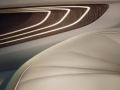 Vision Luxury Concept, 27