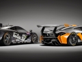 McLaren P1 GTR & F1 GTR