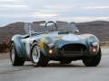 Shelby Cobra 289 50th Anniversary