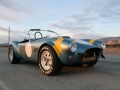 Shelby Cobra 289 50th Anniversary