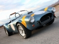 Shelby Cobra 289 50th Anniversary