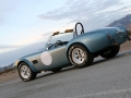 Shelby Cobra 289 50th Anniversary