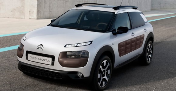 C4 Cactus, 13