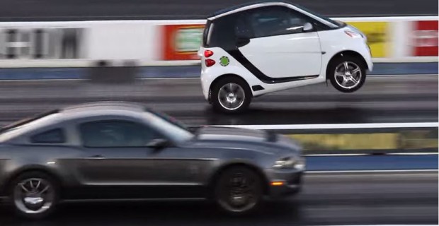 Smart vs Shelby